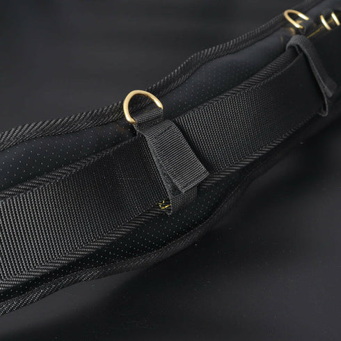 富士箭Fujiya黑金PS-SMBG/SLBG護腰