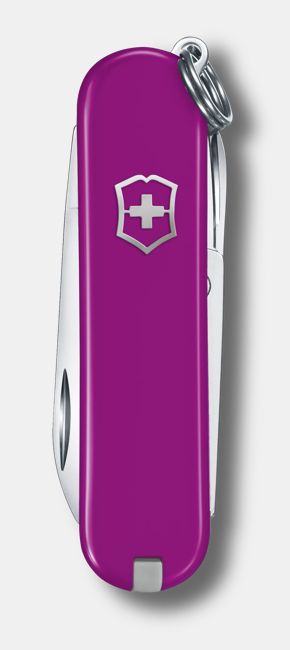 Victorinox 0.6223 Classic SD (實色)
