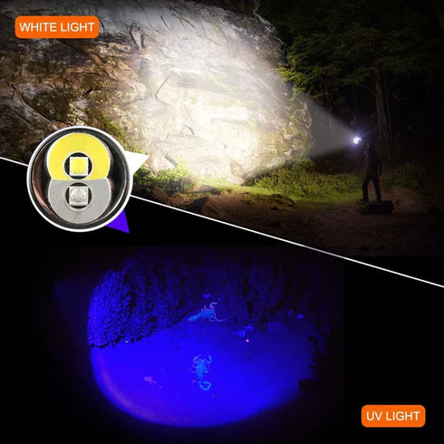 Nicron B74UV磁吸曲頭白光及UV電筒